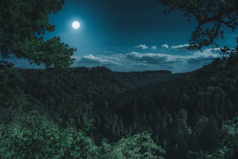 Full Moon Soirees